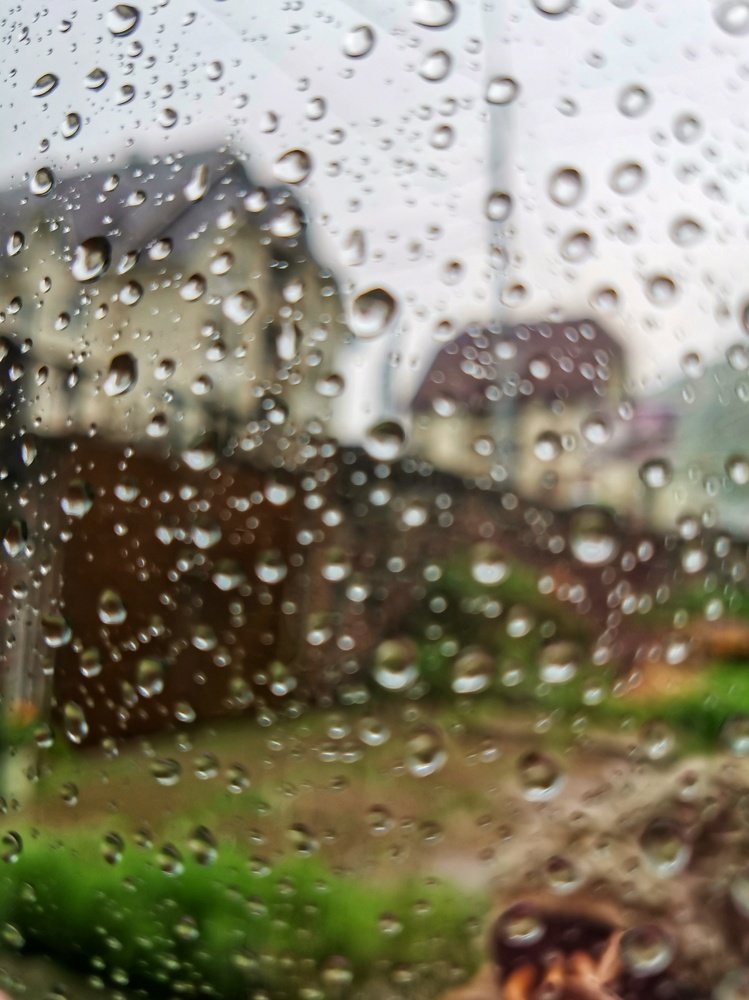 Photograph by Antonina Marchenko