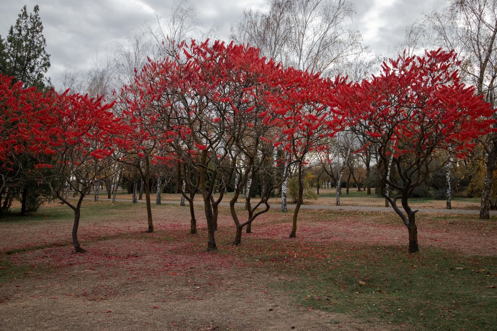 Photograph by Дарья Околова