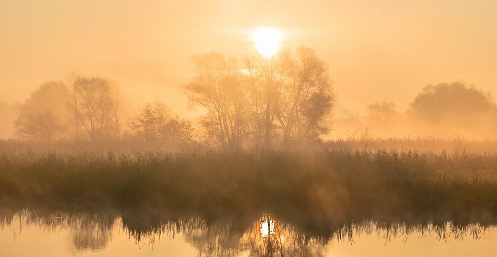 Photograph by Jan Wolny