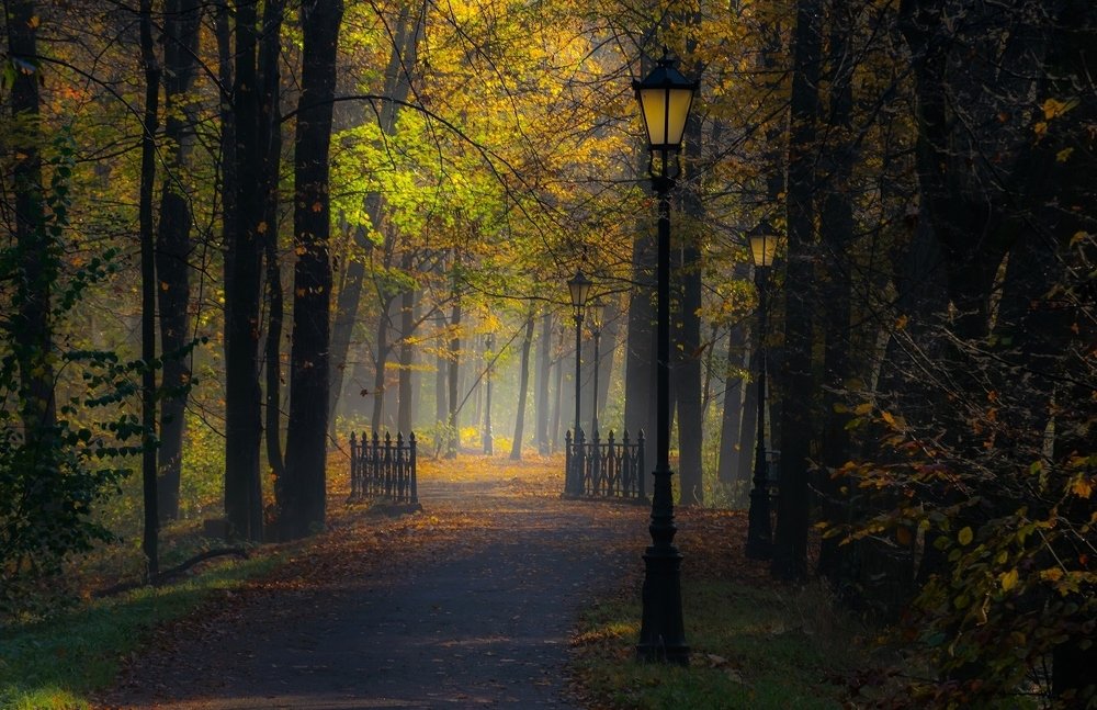 Photograph by Jan Wolny