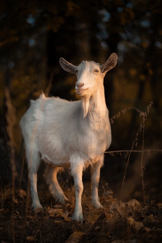 Photograph by Людмила Потапочкина