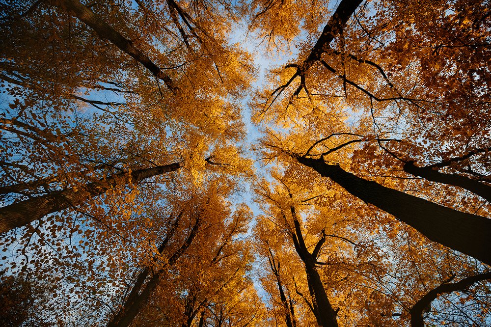 Photograph by Chev Photography