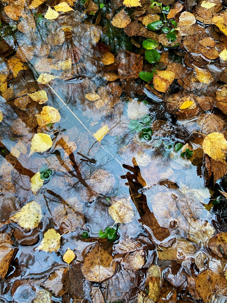 Photograph by Александра Морозова