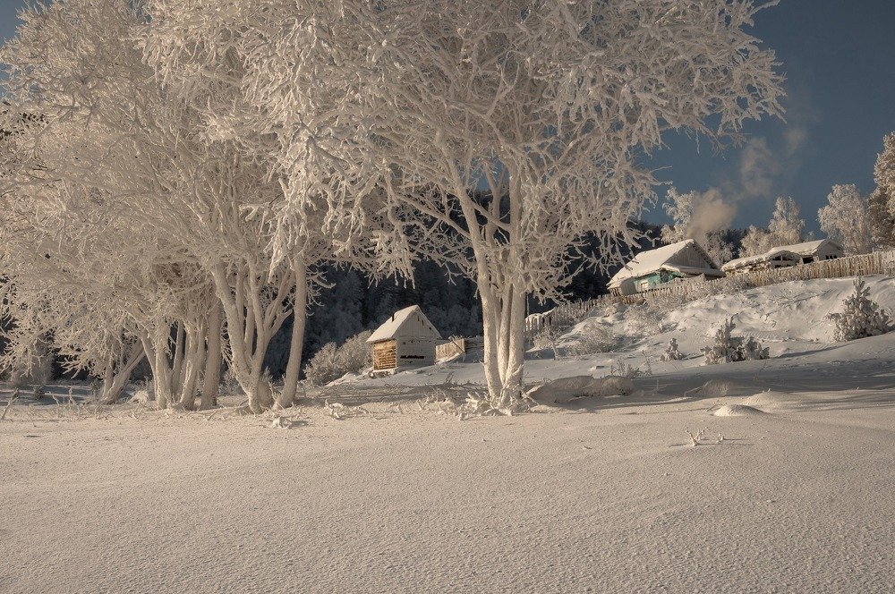 Photograph by Марина Фомина