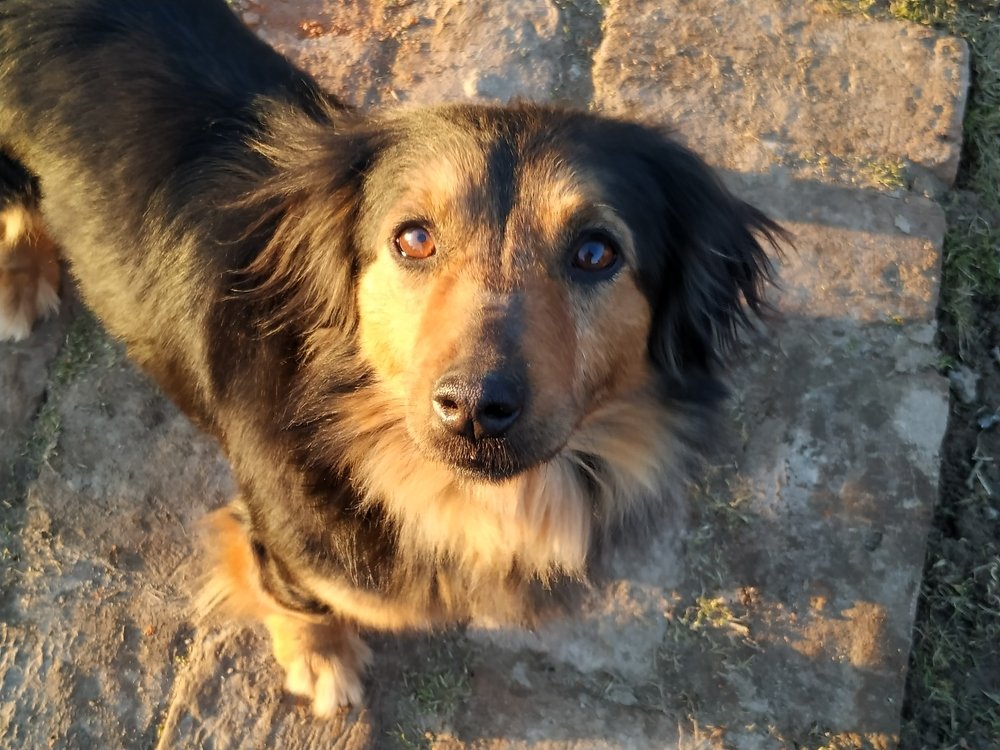 Photograph by Роксалана Лопатенкова