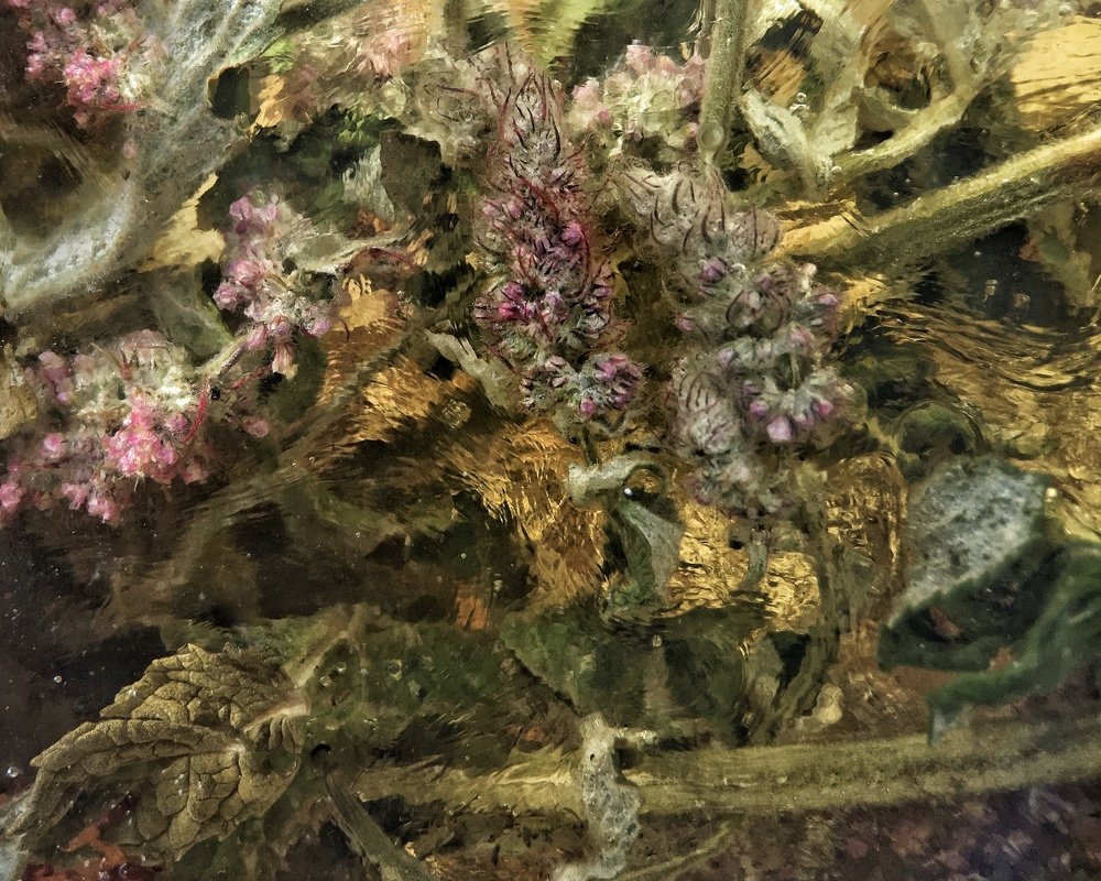 Лето в сахарном сиропе