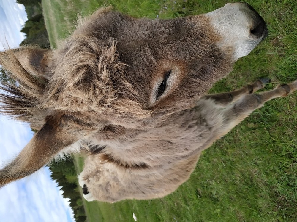 Photograph by Роксалана Лопатенкова