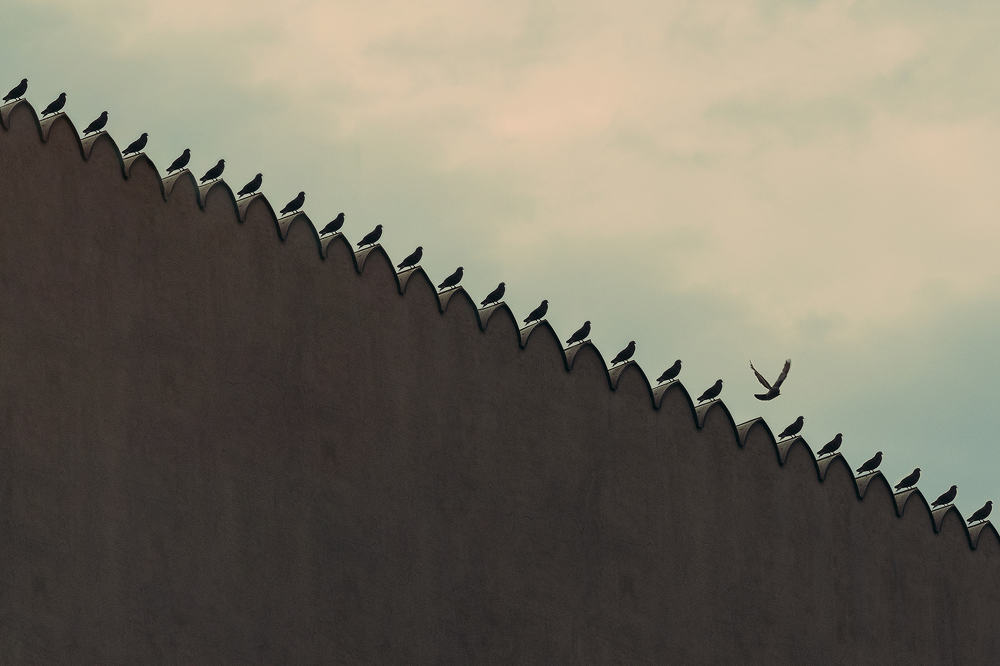 Photograph by Attila Zinčak