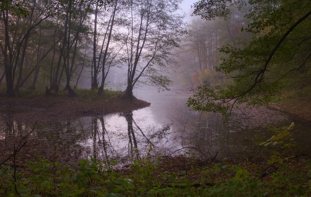 Дух болот ..