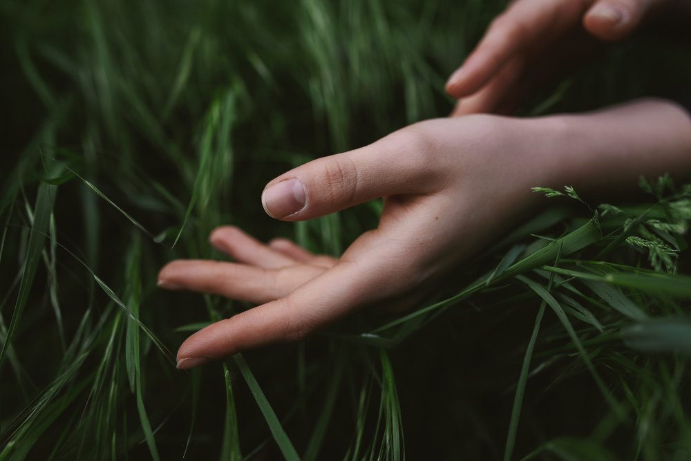 Photograph by Ксения Заводчикова