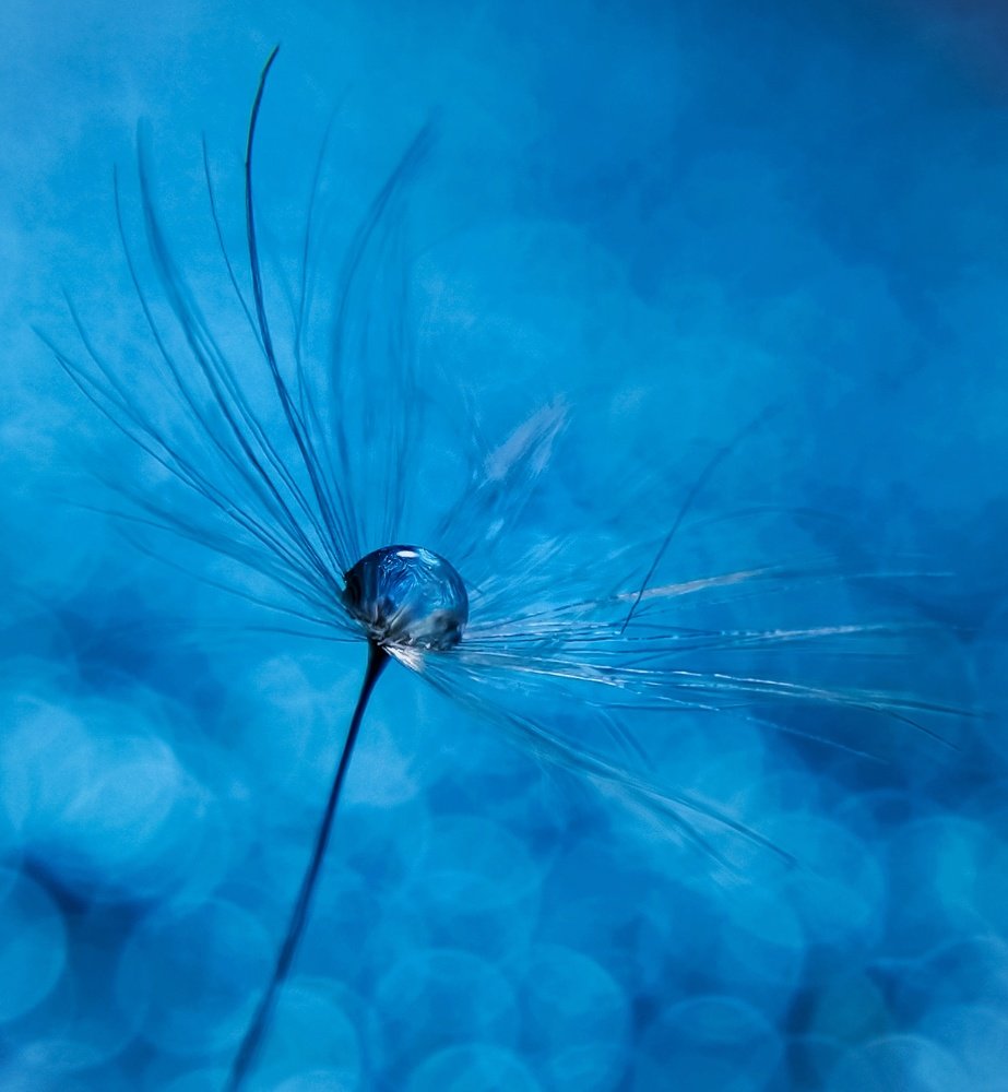 Photograph by Елена Бохолдина