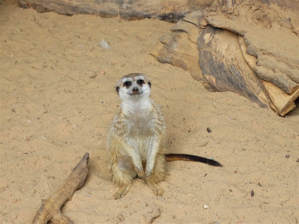 Photograph by Елена Стрельцова