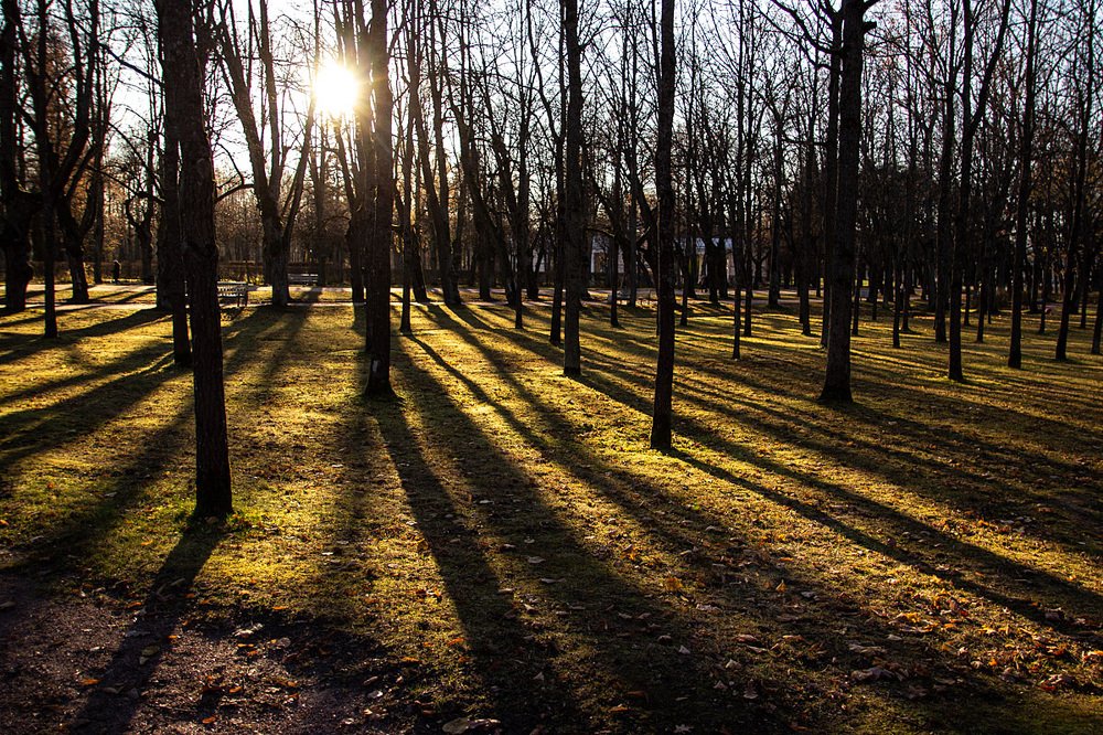 Photograph by Наталья Юденкова