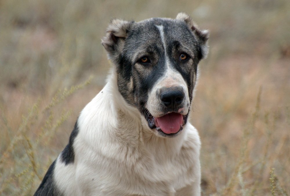 Photograph by Евгений Дроботенко