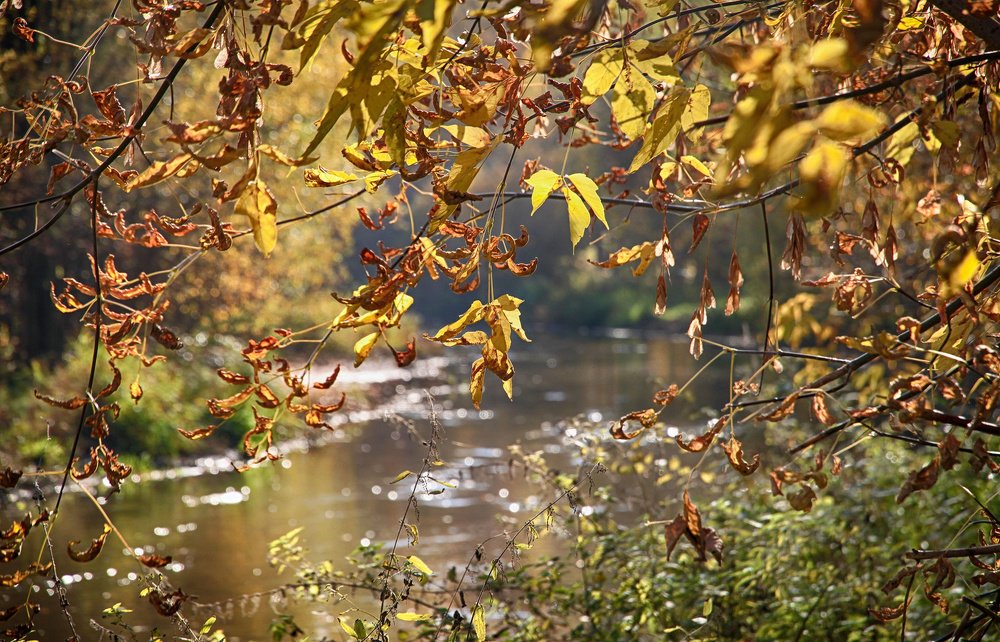 Photograph by Владимир Гречанинов