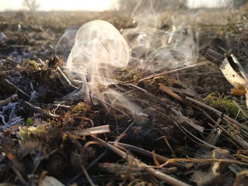 Photograph by Роксалана Лопатенкова