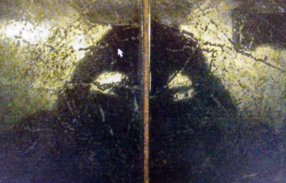 Photograph by Владимир Гречанинов