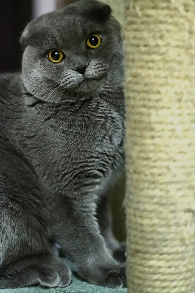 Photograph by Ксюша Альбер