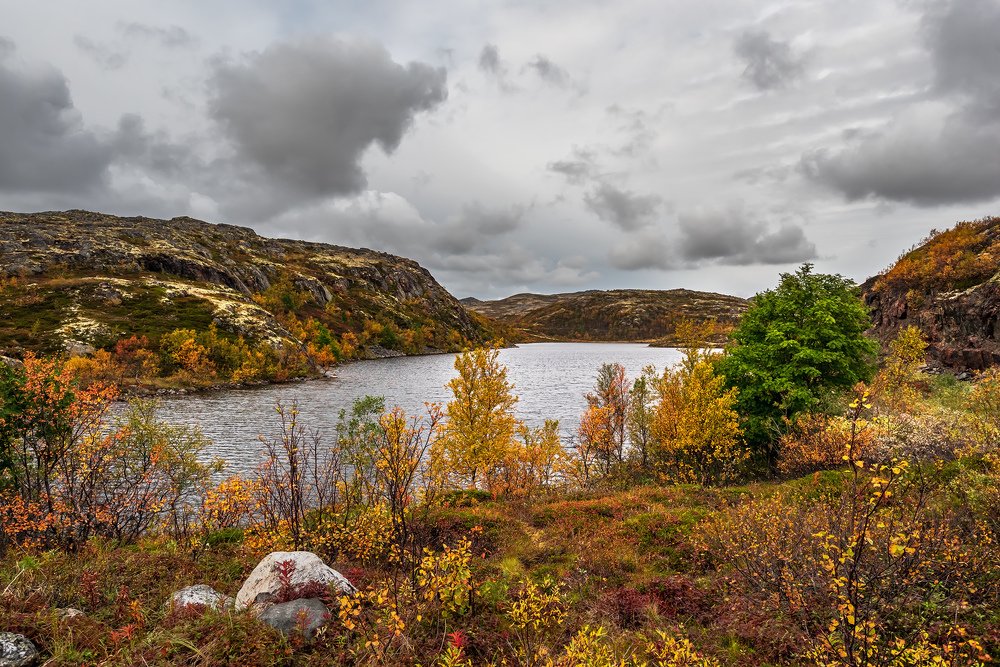 Фотография автора Zakharov Armen