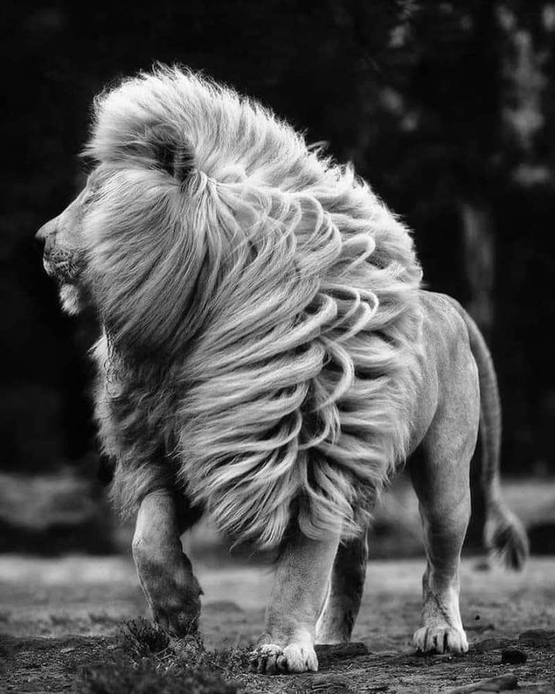 Photograph by Theophilus Addo