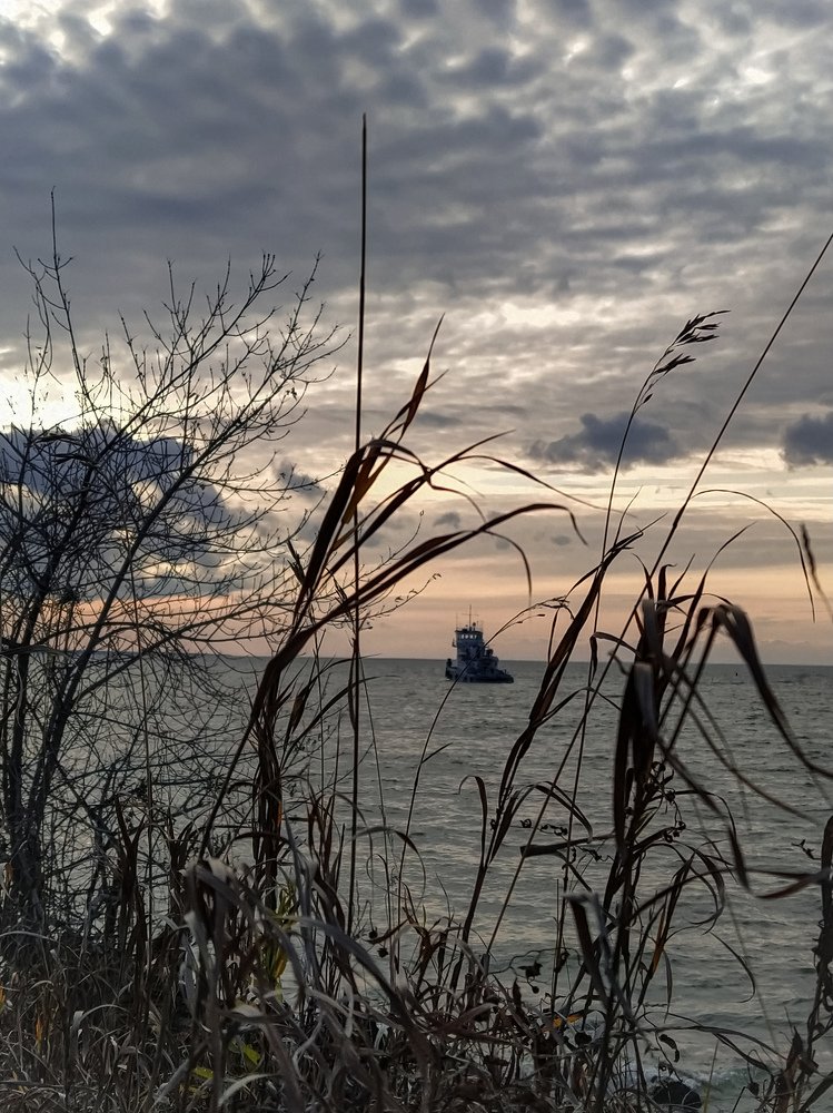 Photograph by Елена Бохолдина