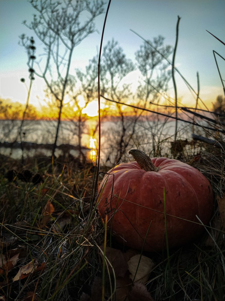 Photograph by Елена Бохолдина