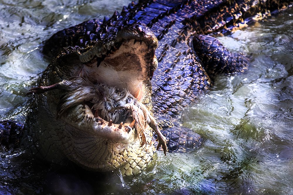 Photograph by Mazlan Mohammad Jali