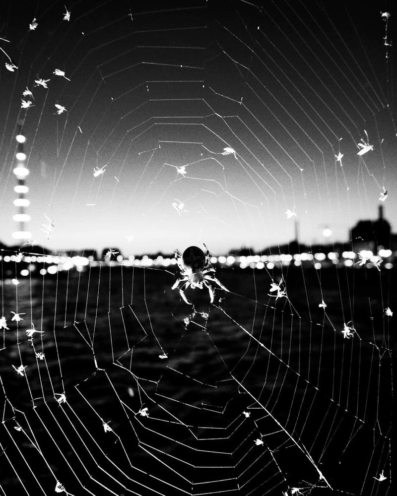 Photograph by Даркина Дарья