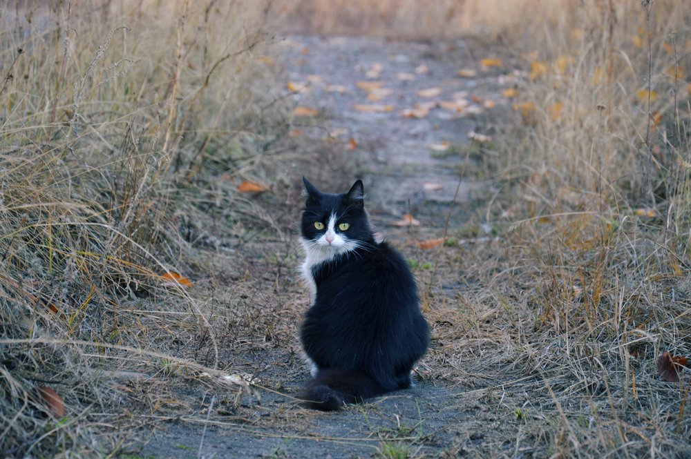 "Ты зачем фотографируешь? Кто разрешал?"