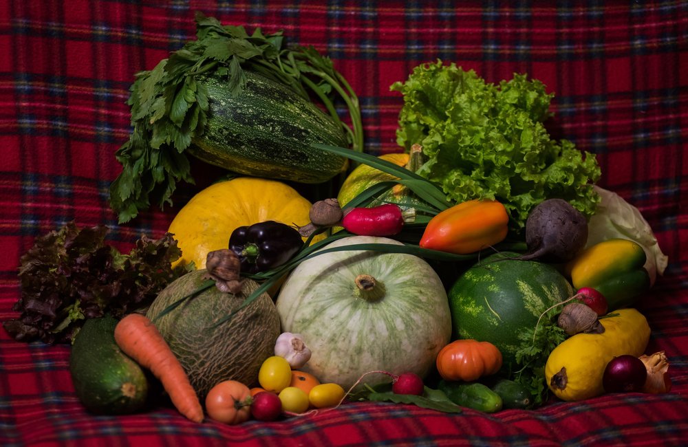 Photograph by Даркина Дарья