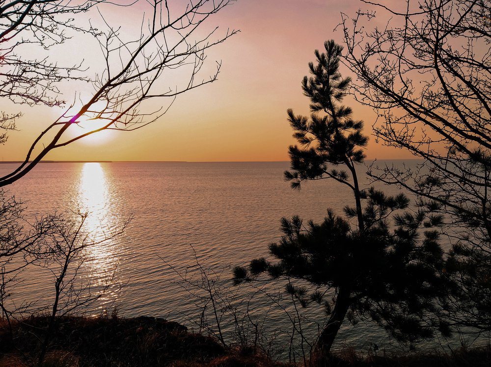 Photograph by Елена Бохолдина