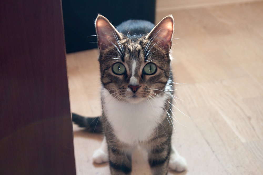 Photograph by Сергей Скоредин