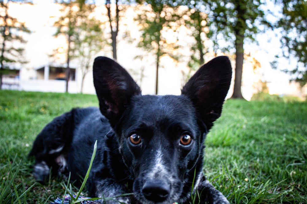 Photograph by Сергей Скоредин