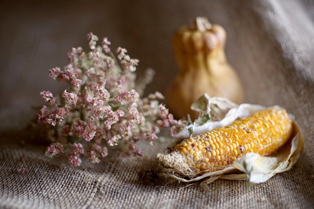 Русский прованс.