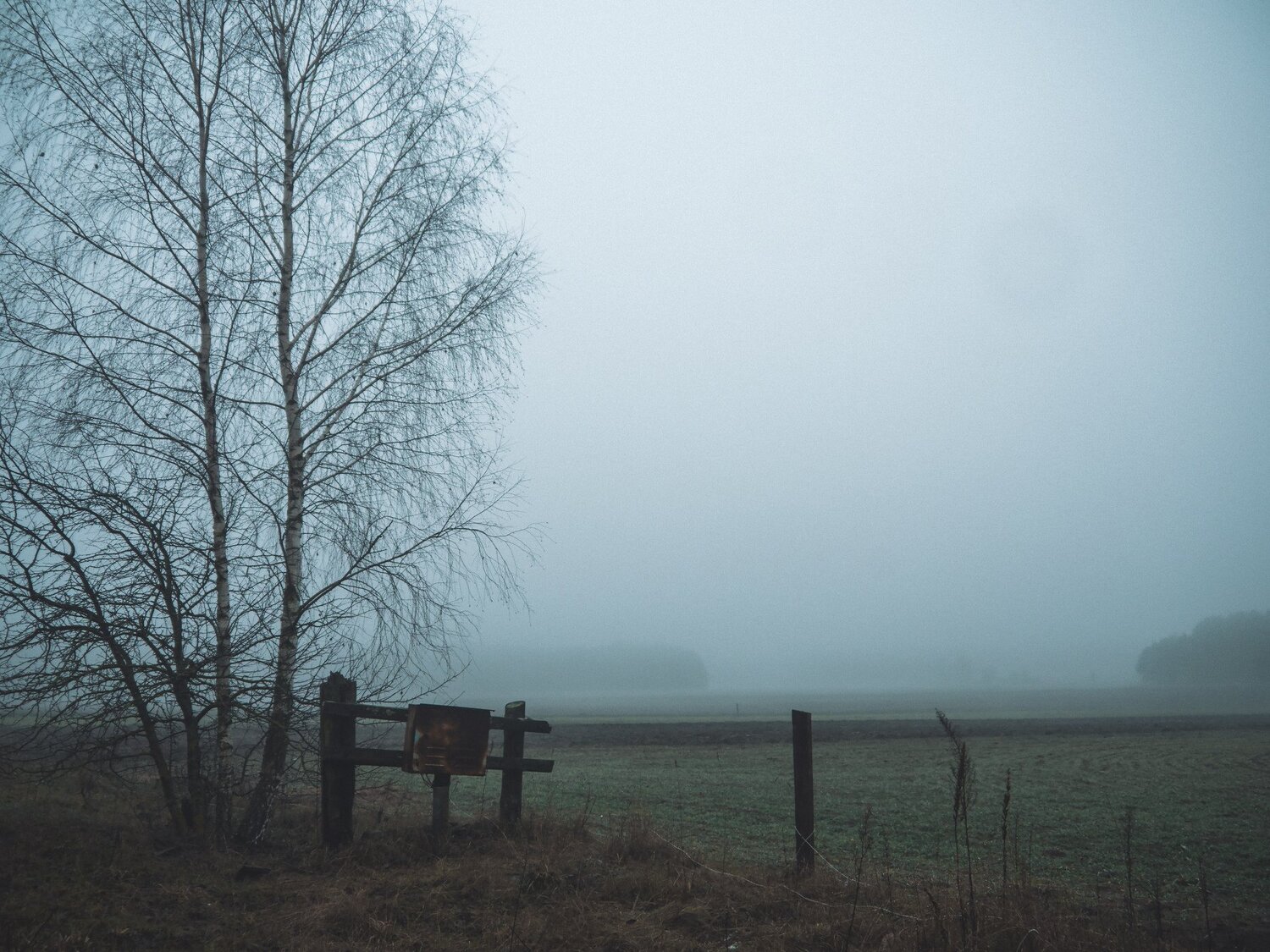 Photo #5223428