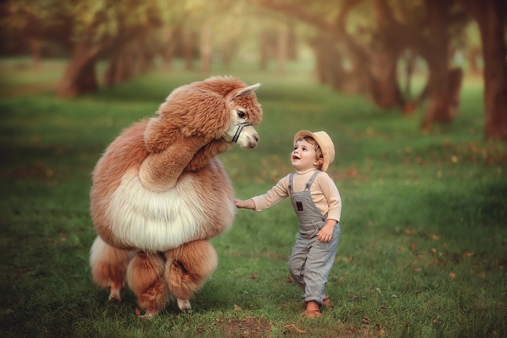 Фотография автора Анжелика