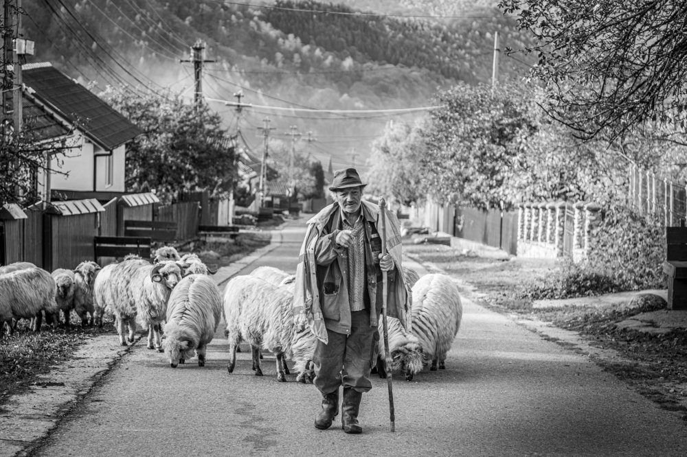 Photograph by Dzintra Zvagina