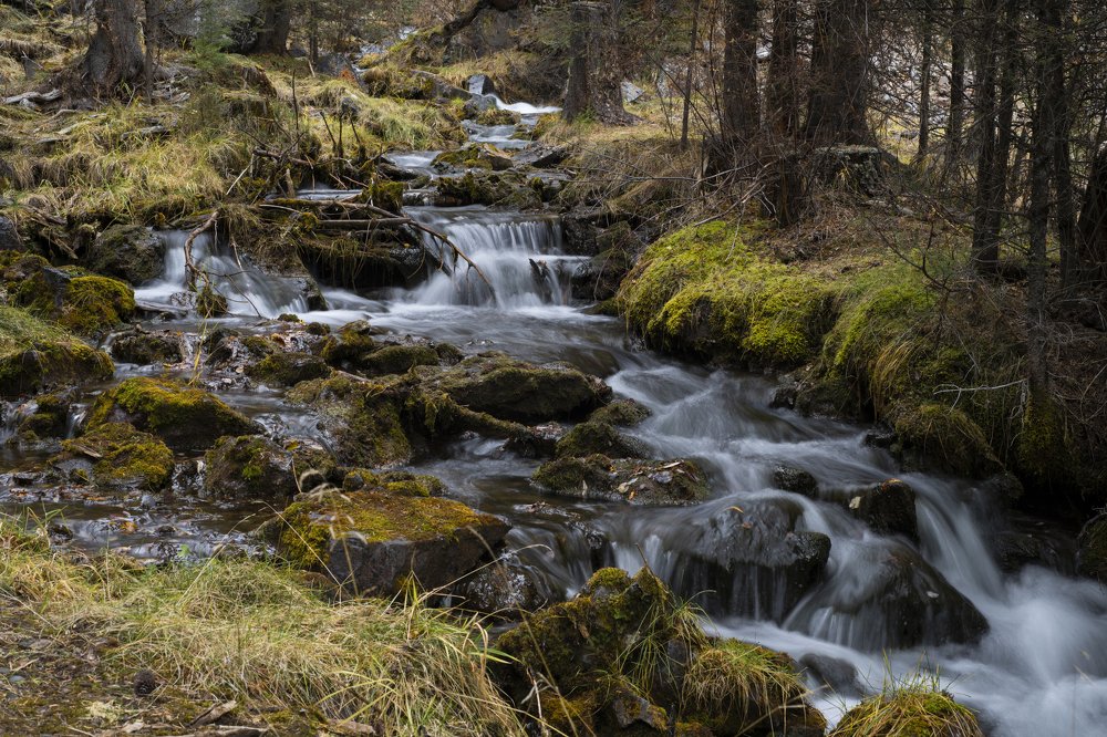 Photograph by Сергей Шерстнев