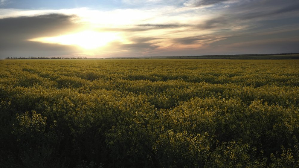 Photograph by Вадим Буцыкин