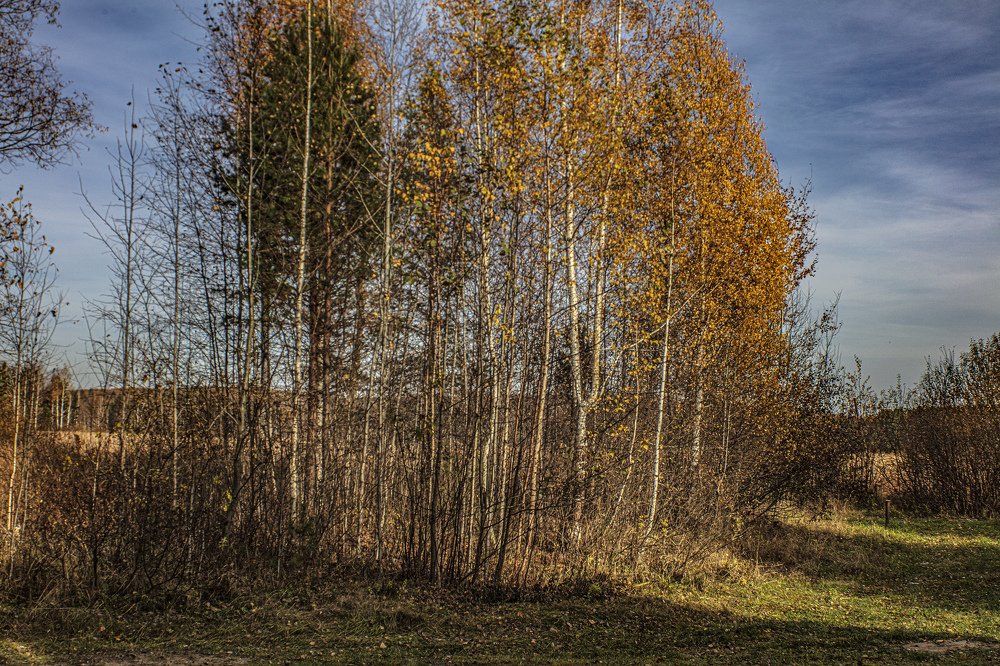 Photograph by миша