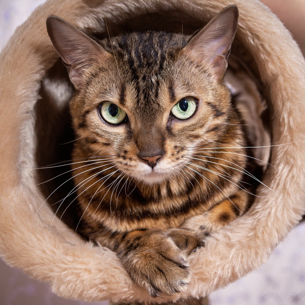 Photograph by Ричард Мун