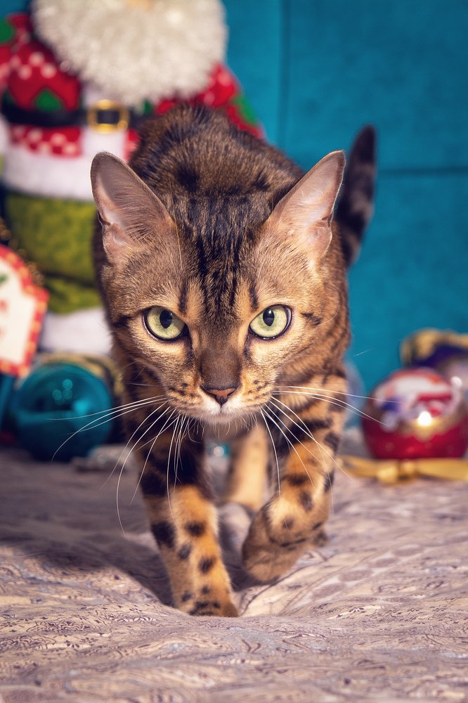 Photograph by Ричард Мун