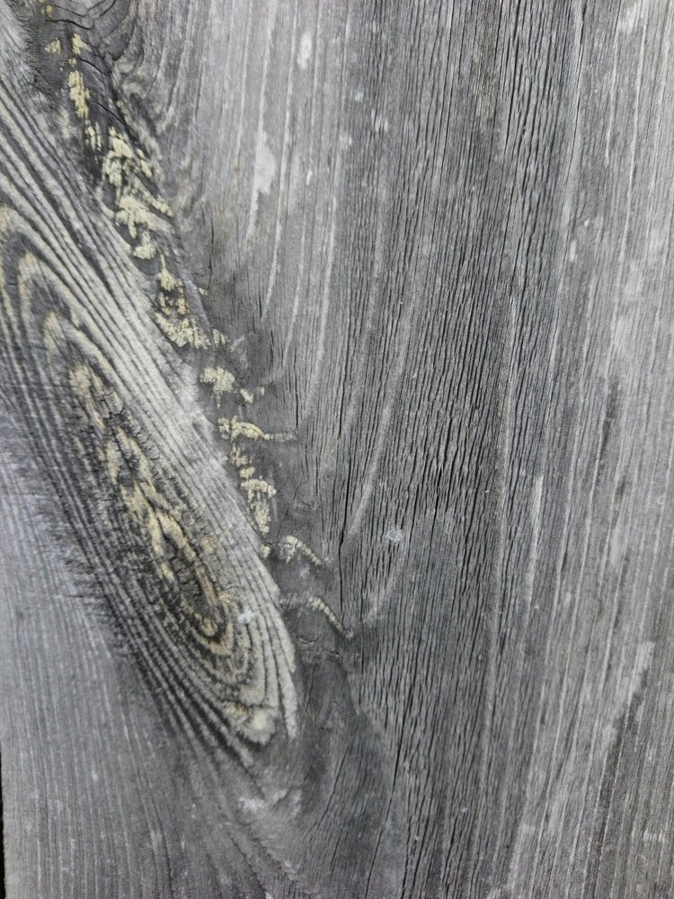 Photograph by Людмила Воропаева