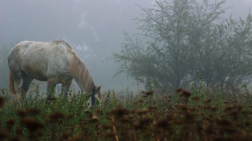 Photograph by Вадим Буцыкин