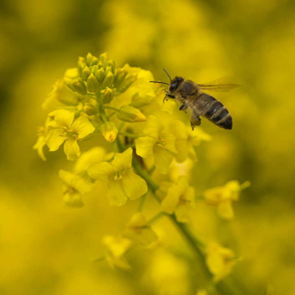 Фотография автора VadimKOVA