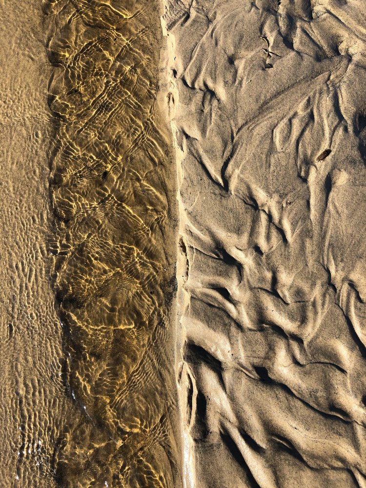 Фотография автора Maria Alekseeva