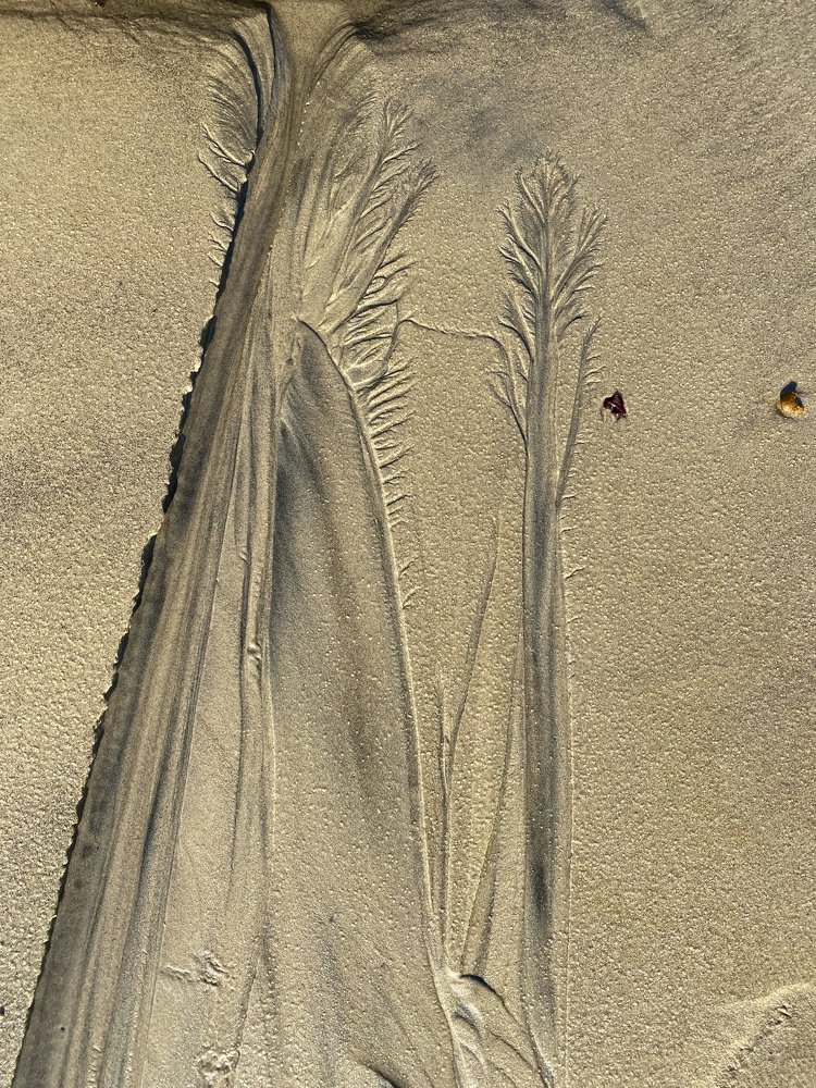 Фотография автора Maria Alekseeva