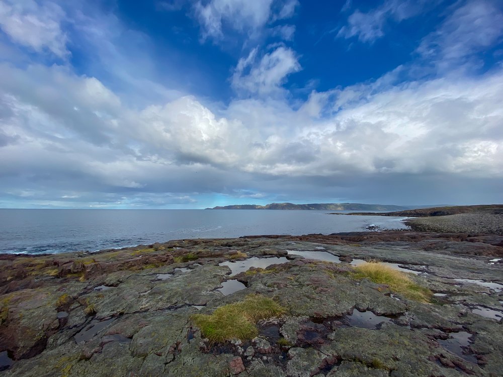 Фотография автора Maria Alekseeva