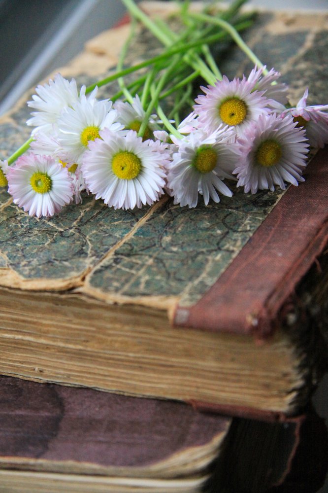 Photograph by Жанна Цветкова