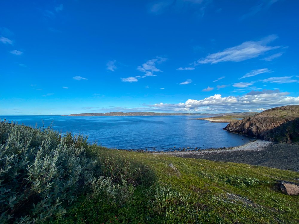 Фотография автора Maria Alekseeva